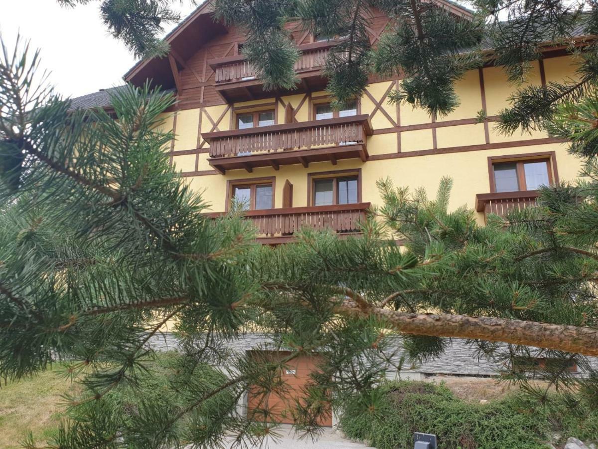 Apartman Erika Велика Ломниця Екстер'єр фото